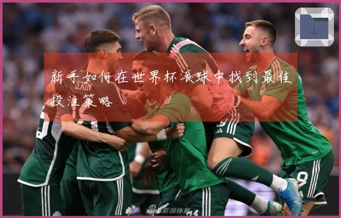 新手如何在世界杯滚球中找到最佳投注策略