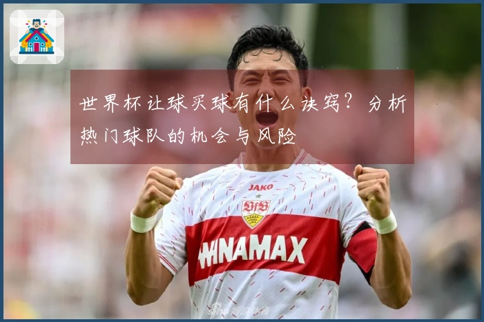 世界杯让球买球有什么诀窍？分析热门球队的机会与风险