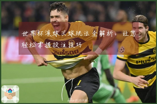 世界杯滚球买球玩法全解析，让您轻松掌握投注技巧
