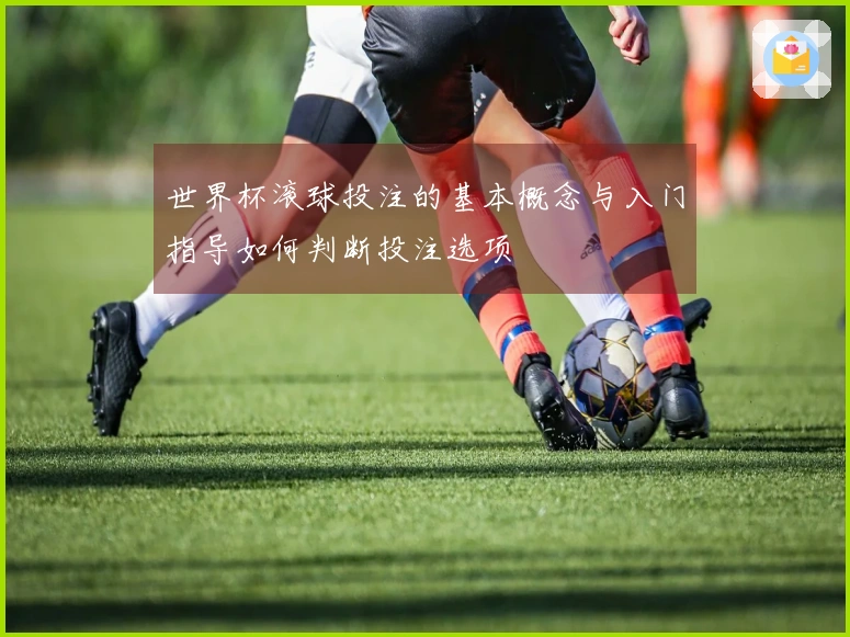 世界杯滚球投注的基本概念与入门指导如何判断投注选项