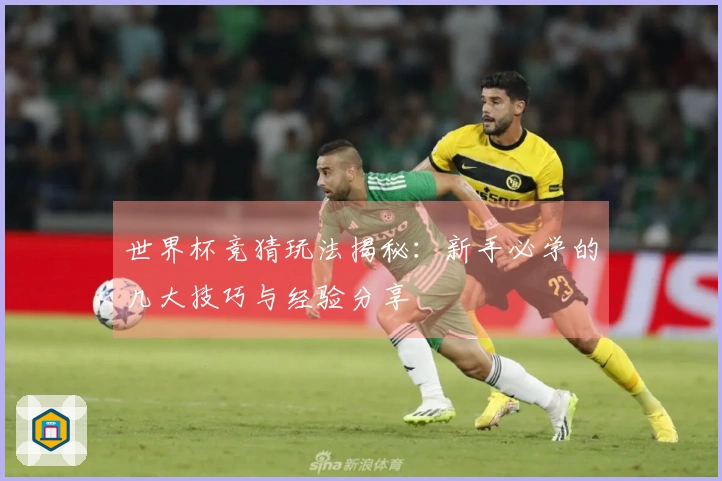 世界杯竞猜玩法揭秘：新手必学的几大技巧与经验分享