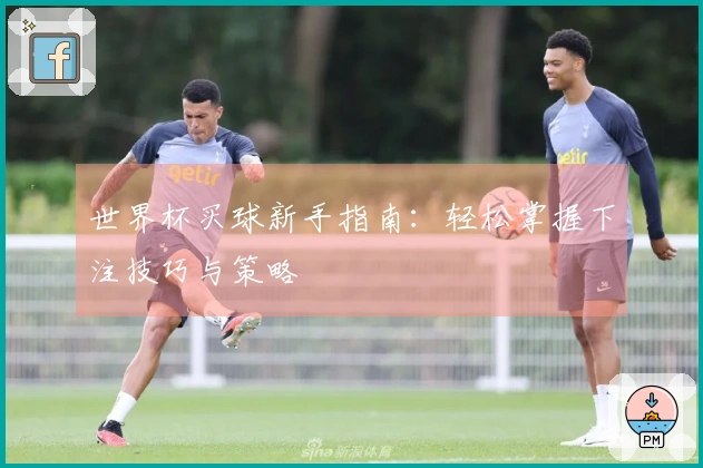 世界杯买球新手指南：轻松掌握下注技巧与策略