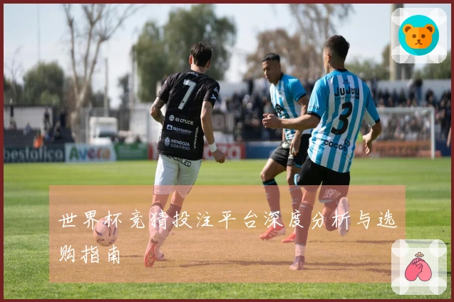 世界杯竞猜投注平台深度分析与选购指南