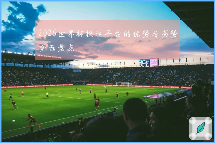 2026世界杯投注平台的优势与劣势全面盘点