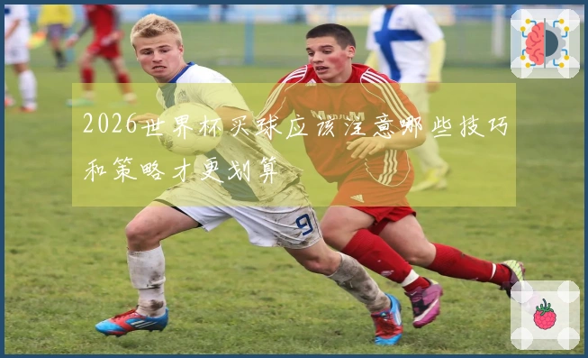2026世界杯买球应该注意哪些技巧和策略才更划算