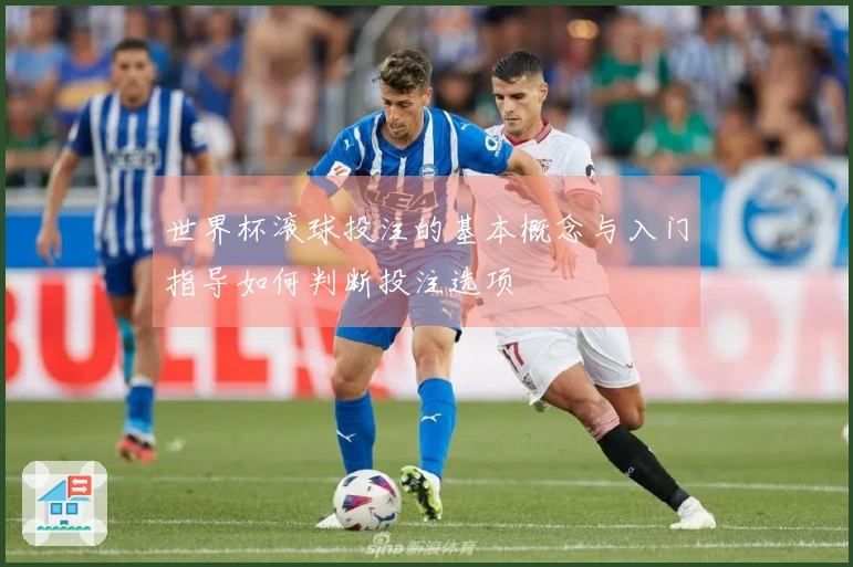 世界杯滚球投注的基本概念与入门指导如何判断投注选项