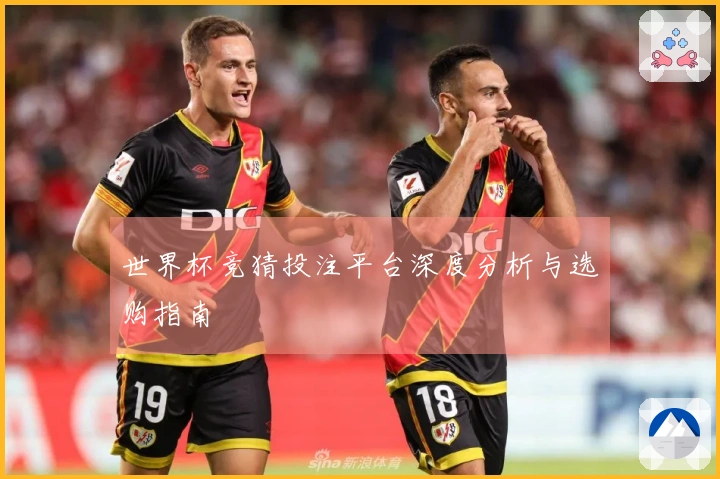 世界杯竞猜投注平台深度分析与选购指南